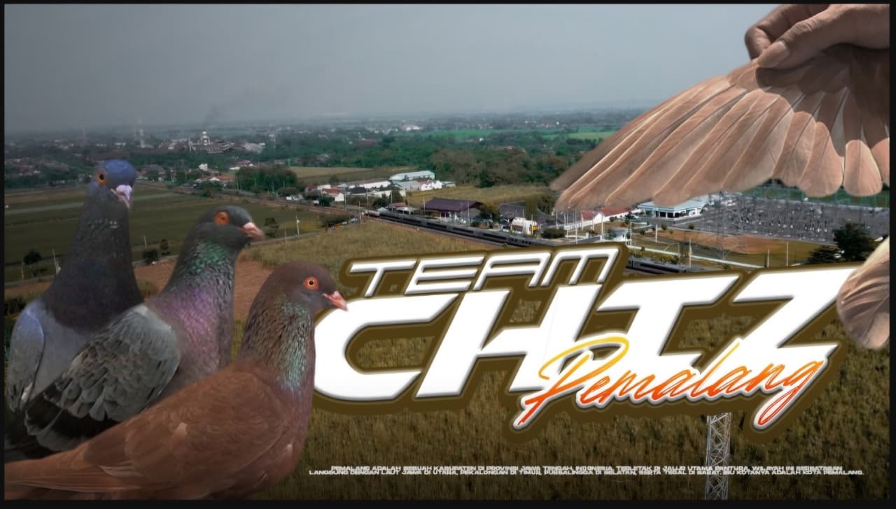 FM FARM KEEPERS melakukan review eksklusif Team CHIZ Pemalang dengan menampilkan tiga merpati andalan, Gladiator S2, Jago, dan By One. Simak liputan lengkapnya di sini