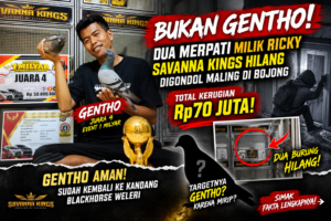 Bukan Gentho! Dua Merpati Milik Ricky dari Savanna Kings Hilang di Bojong, Gentho Sudah Kembali ke Weleri